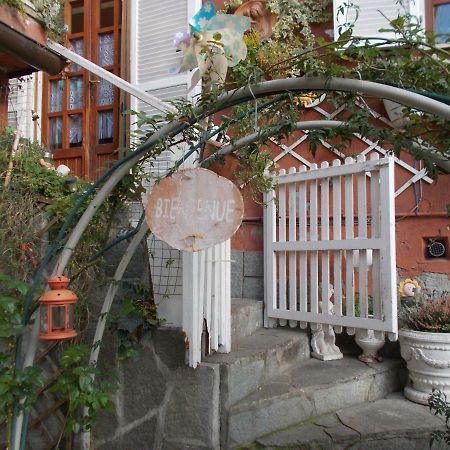 Il Granello Di Senape B&B Palazzo Canavese Екстериор снимка